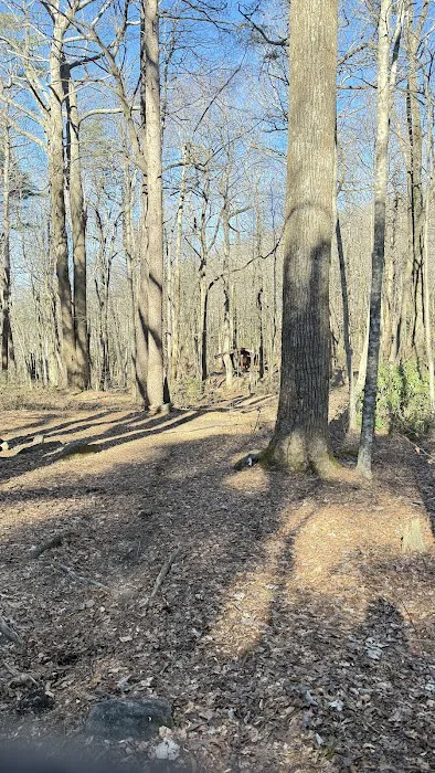 Black gap shelter Appalachian approach trail 6