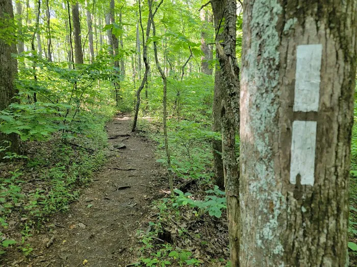 Springer Mountain Shelter 0