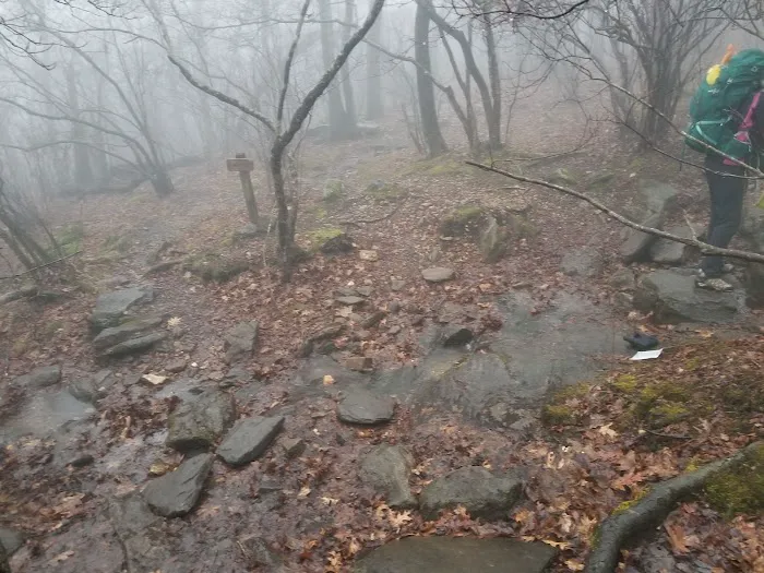 Springer Mountain Shelter 5