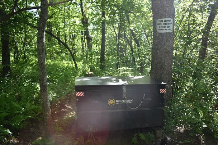 Springer Mountain Shelter 4