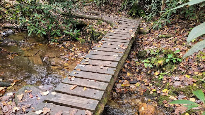Stover Creek Shelter 3