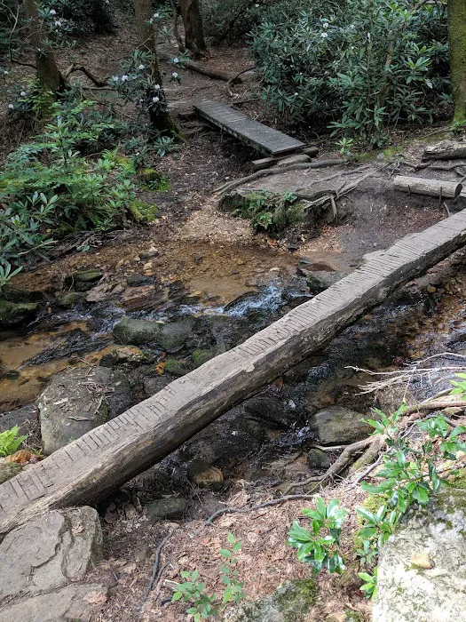 Stover Creek Shelter 2
