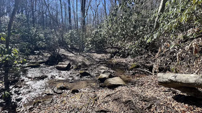 Stover Creek Shelter 6
