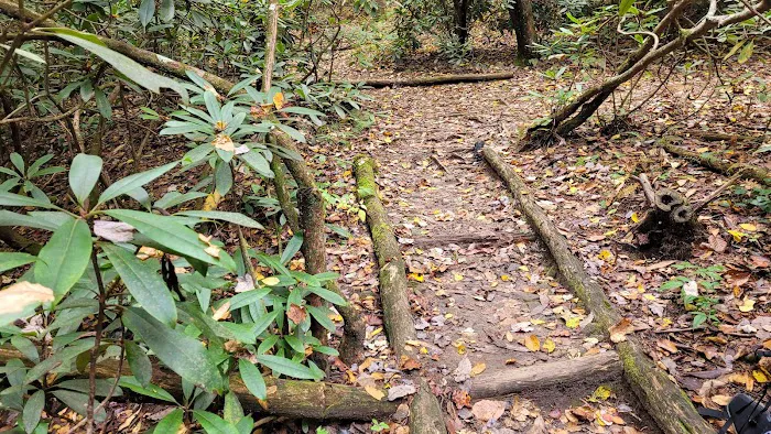 Stover Creek Shelter 8
