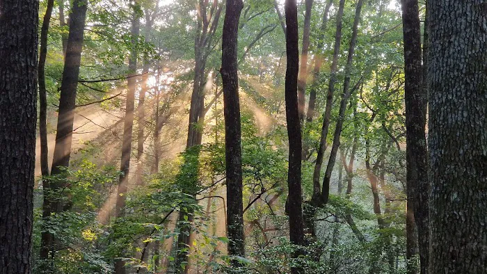 Stover Creek Shelter 9