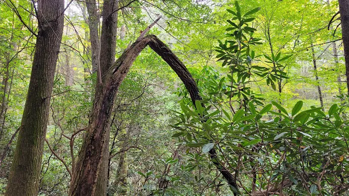 Stover Creek Shelter 7