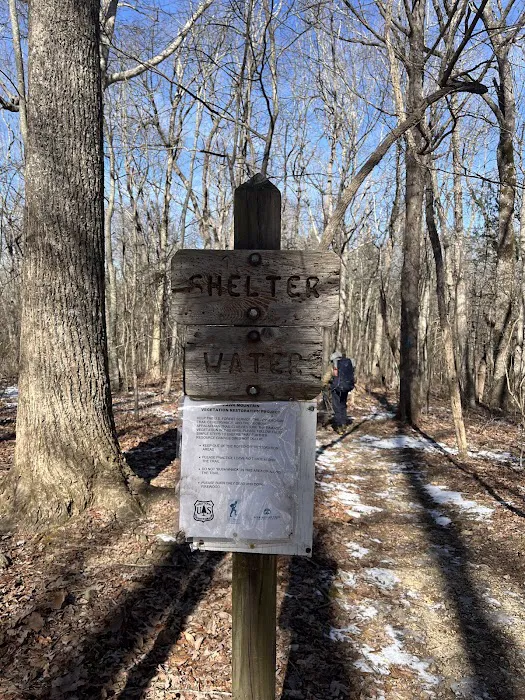Hawk Mountain Shelter 4
