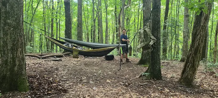Hawk Mountain Shelter 5