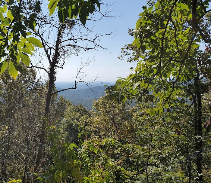 Hawk Mountain Shelter 7