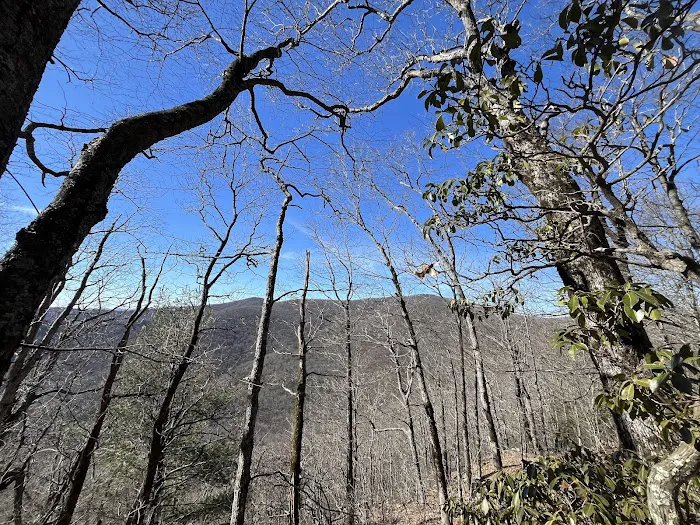 Hawk Mountain Shelter 6
