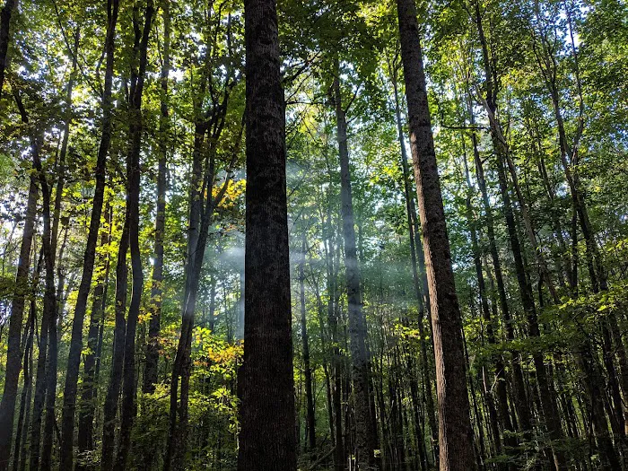 Hawk Mountain Shelter 8