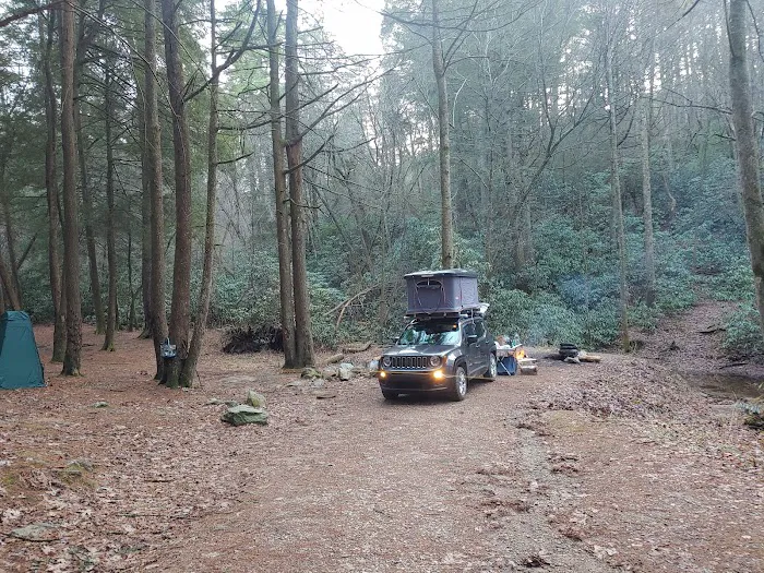 Three Forks USFS 58 4.3 5