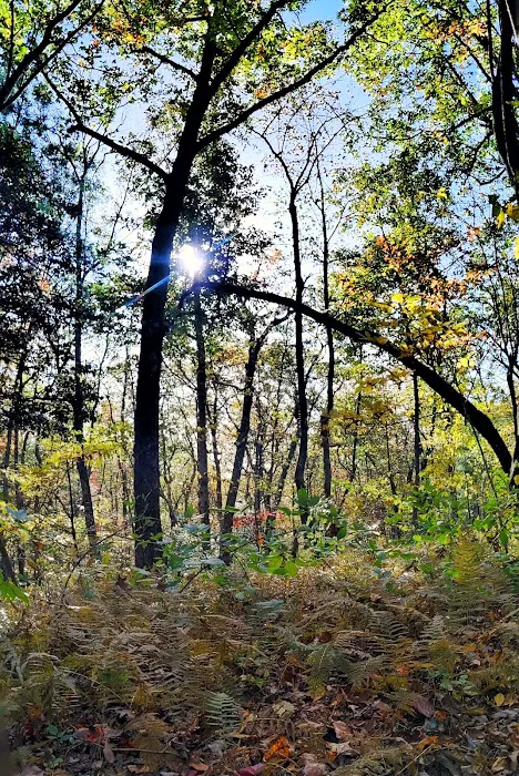 Three Forks USFS 58 4.3 6