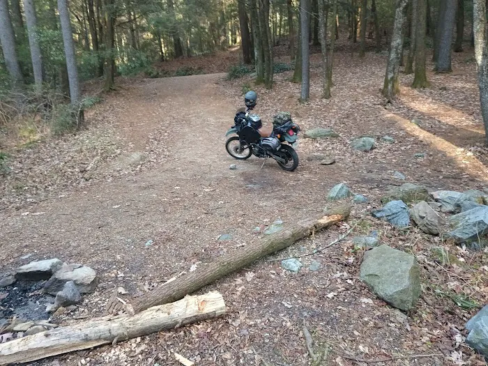 Three Forks USFS 58 4.3 9
