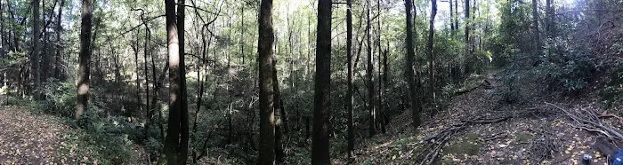 Justus Creek Campsites 4