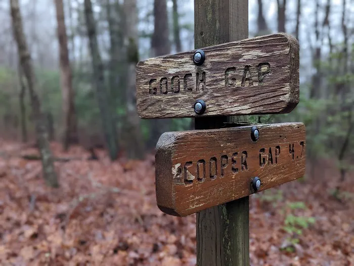 Gooch Mountain Shelter 0