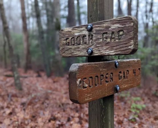 Gooch Mountain Shelter