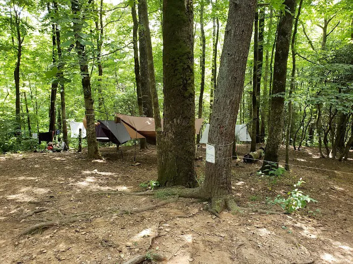 Gooch Mountain Shelter 2
