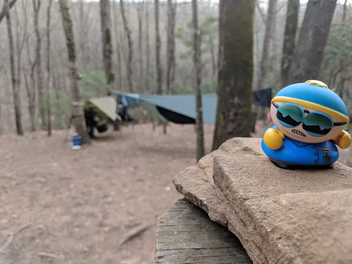 Gooch Mountain Shelter 8