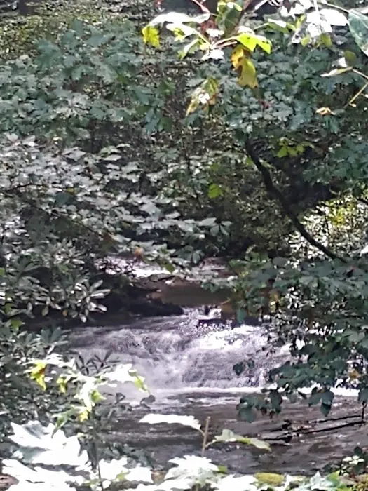 Frank Gross Recreation Area 6