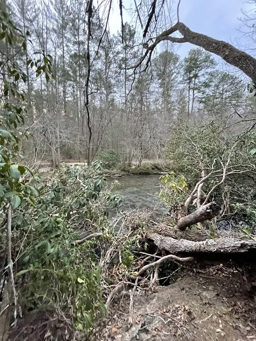Deep Hole Recreation Area 6