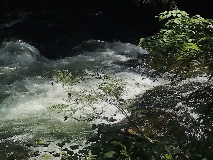 Brookside Campground & Rafting 6