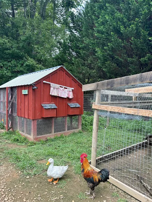 Owl Creek Farm Resort 6
