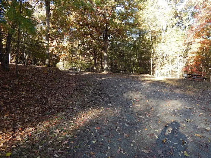 Campground 1