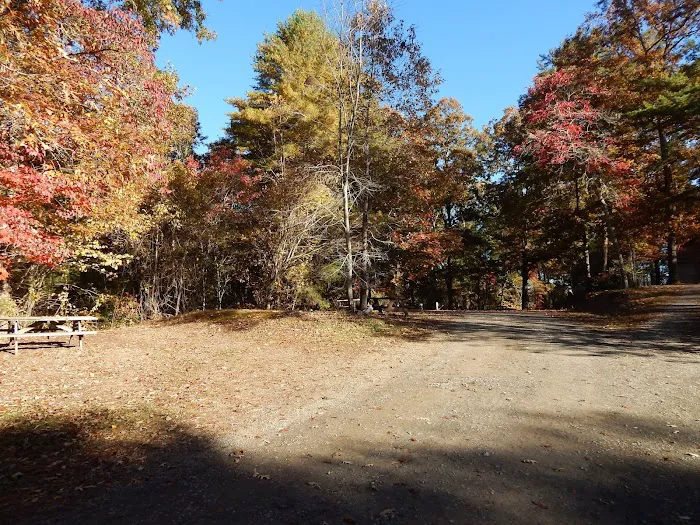 Campground 7