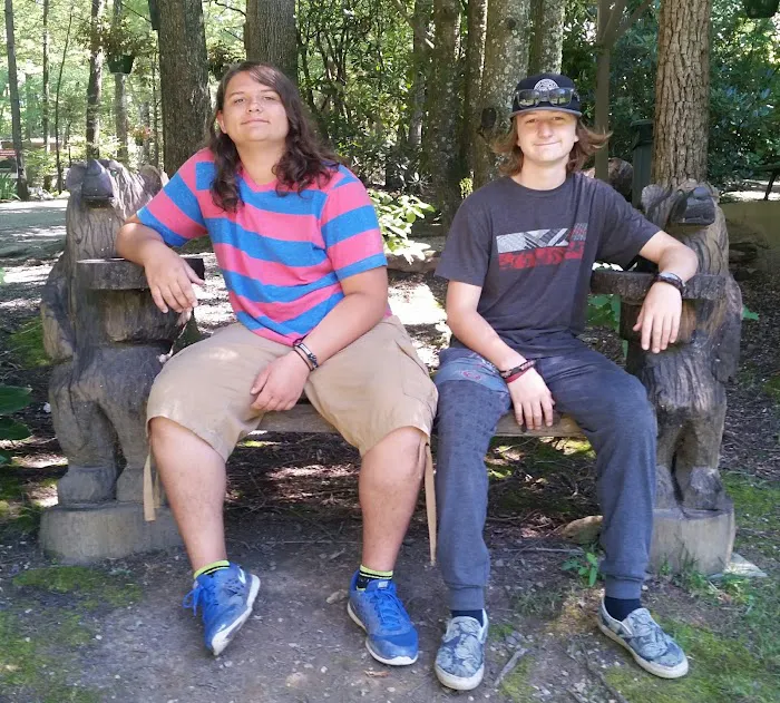 Linville Falls Campground 5