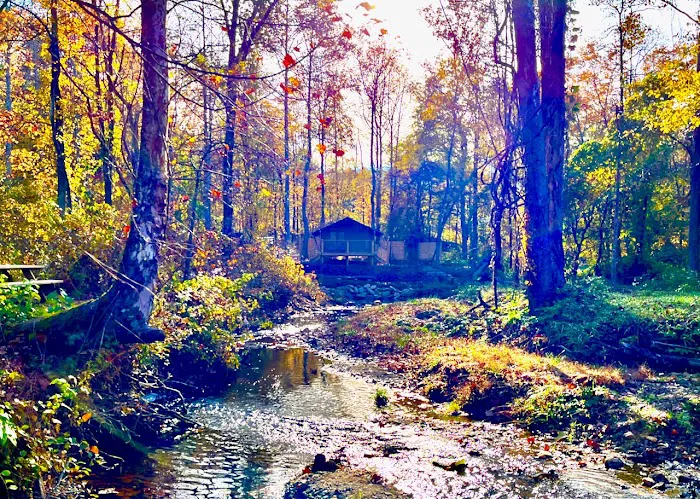 Tanglewood Campground 3