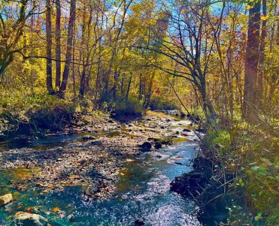 Tanglewood Campground