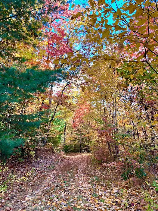 Tanglewood Campground 4