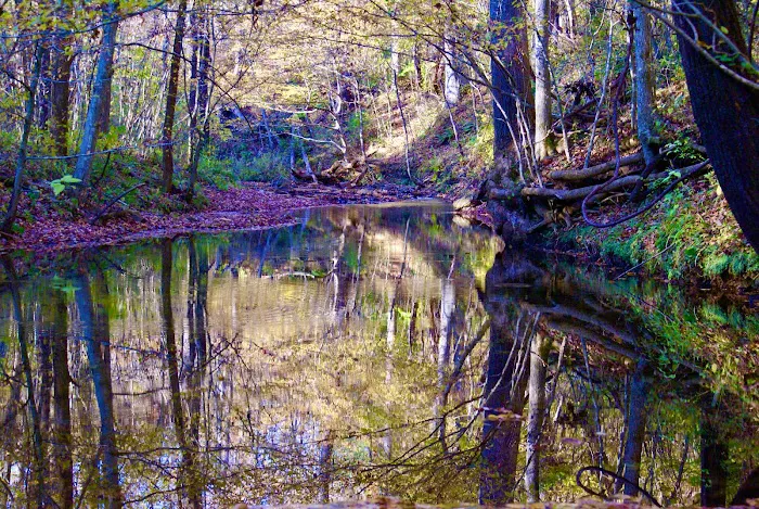 Tanglewood Campground 7
