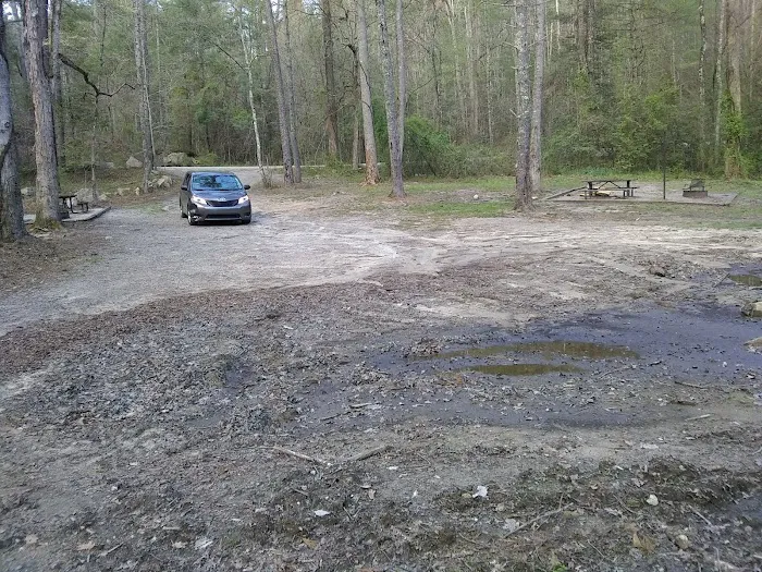 NFS Campsites 8