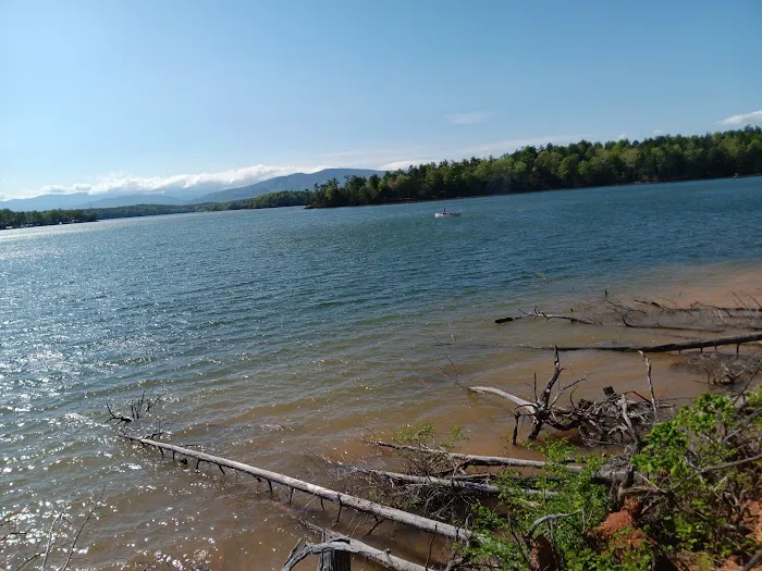 Paddy's Creek Campground 1