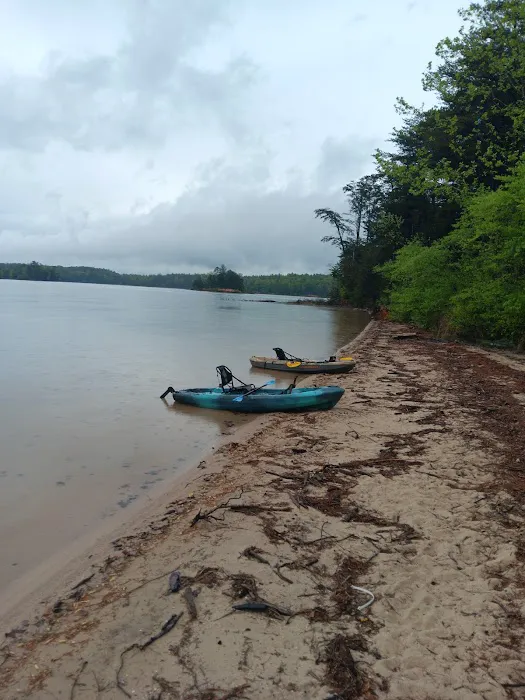 Paddy's Creek Campground 4