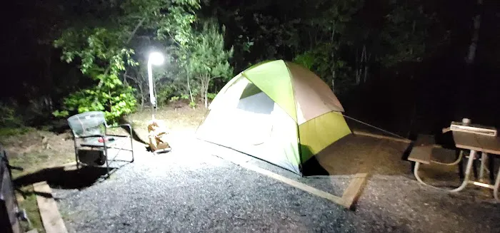 Paddy's Creek Campground 5