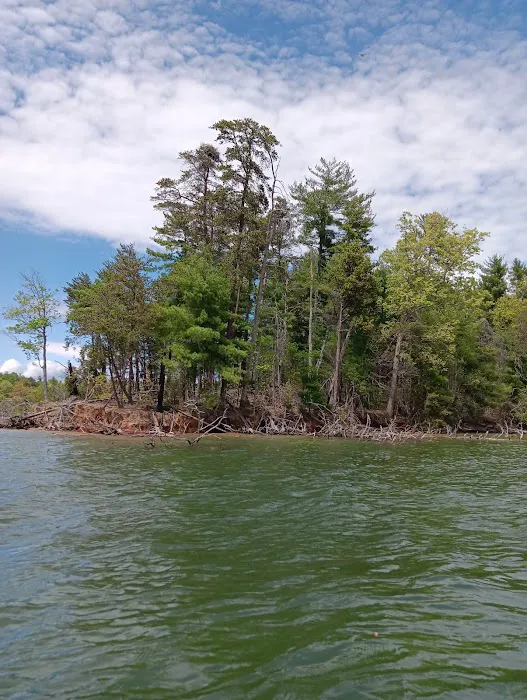 Paddy's Creek Campground 8