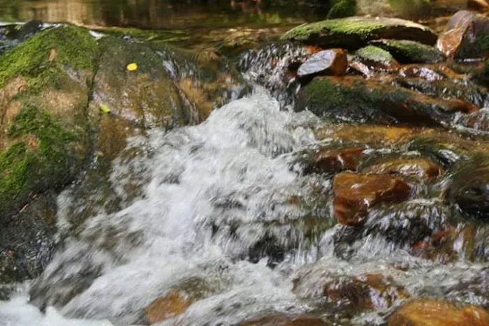 Paddy's Creek Campground 6