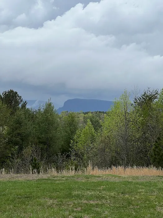 Paddy's Creek Campground 9