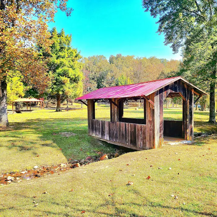 Paddy Creek Campground 3