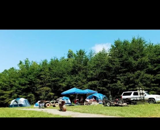 HorsePower Camp and Treefort