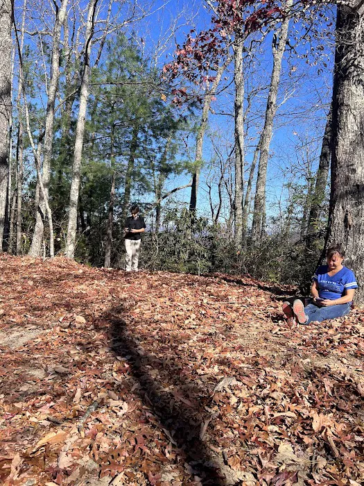 Backcountry campsite #317 2
