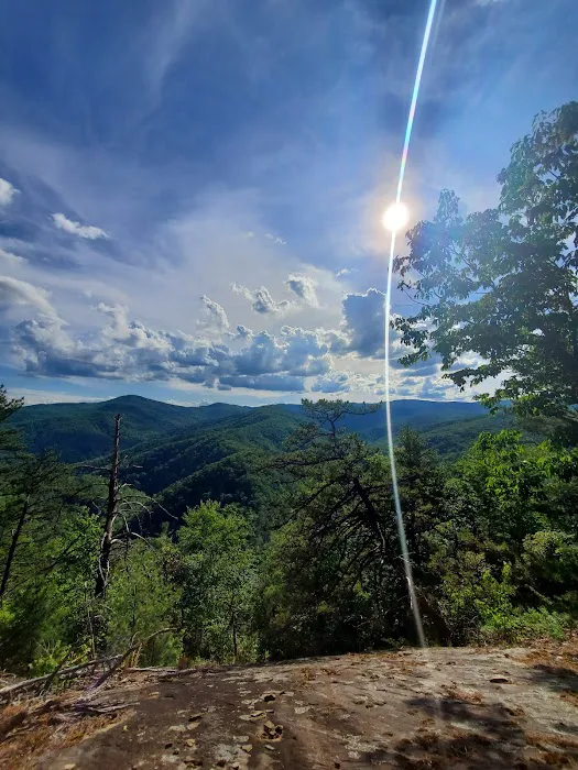 Backcountry campsite #317 1