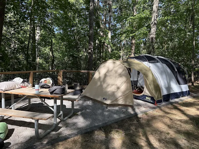 Black Bear Campground and Park 2