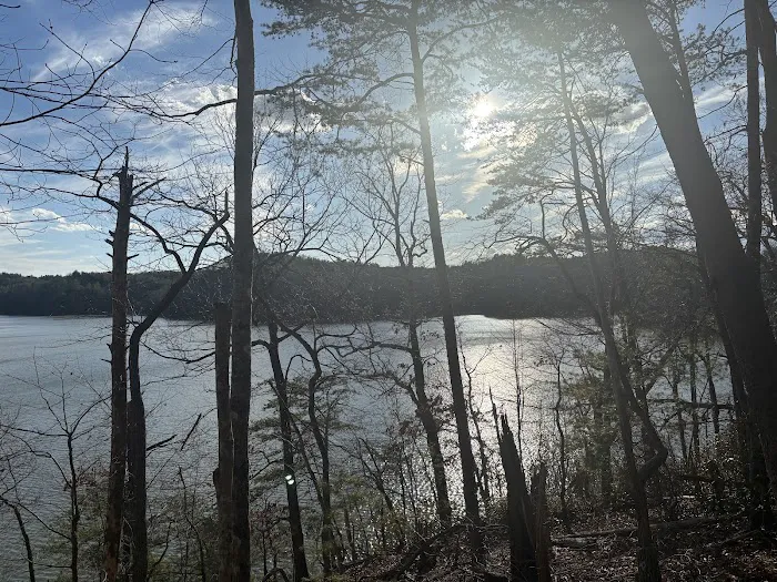 Black Bear Campground and Park 5