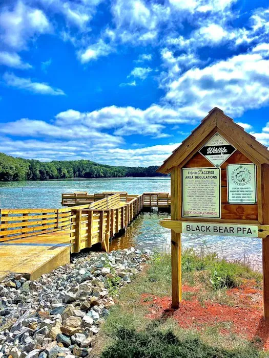 Black Bear Campground and Park 3