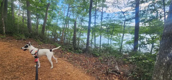 Black Bear Campground and Park 9