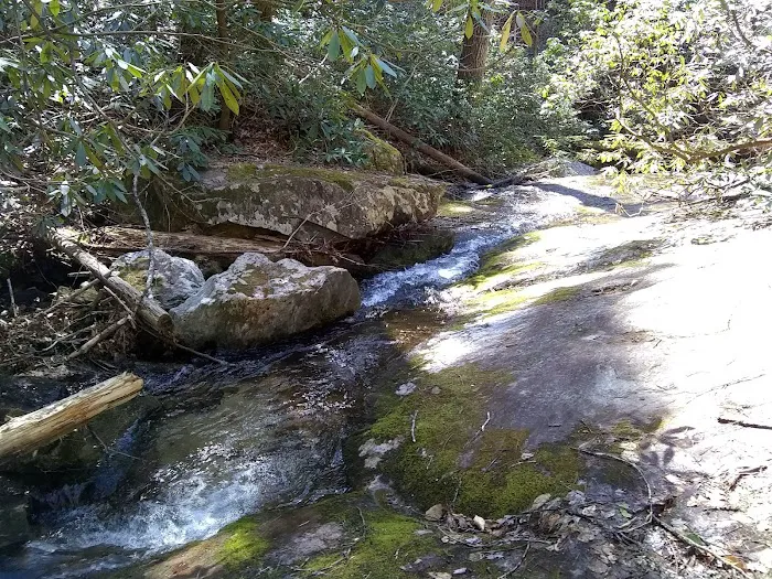 Mortimer Campground 3